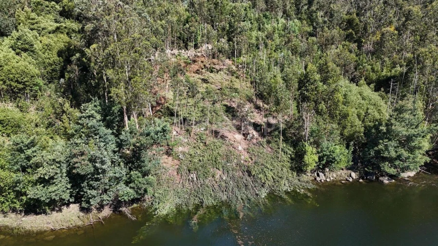 Terreno para Venda em Abragão Foto 14