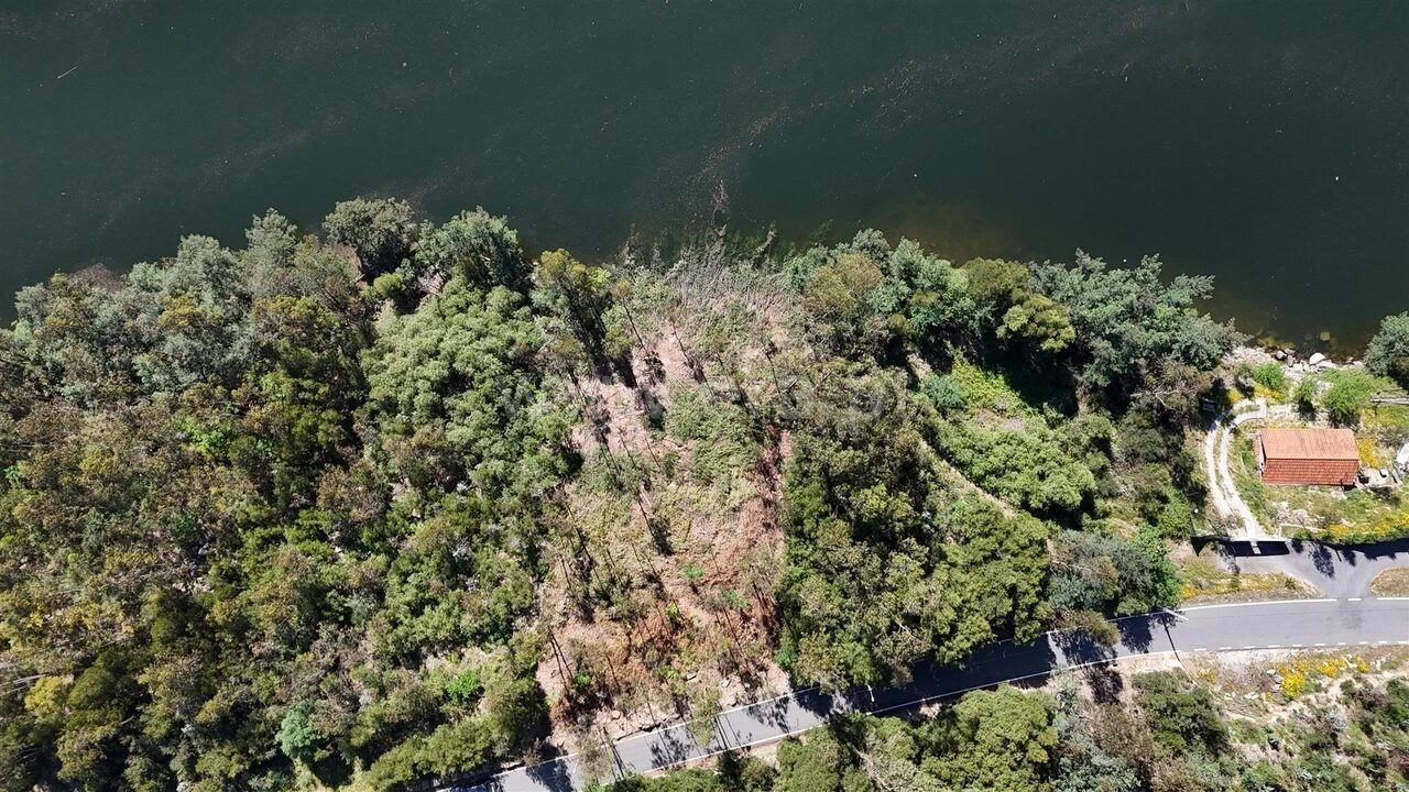 Terreno para Venda em Abragão Foto 9