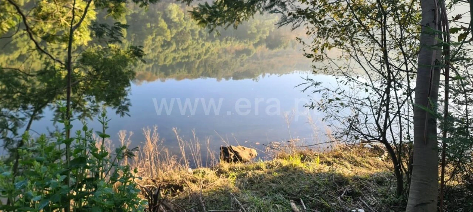 Terreno para Venda em Abragão Foto 7