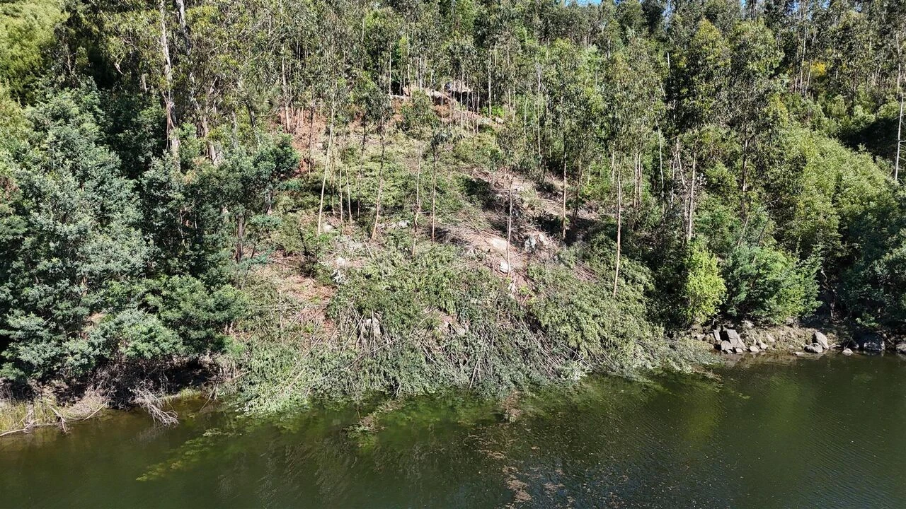 Terreno para Venda em Abragão Foto 16