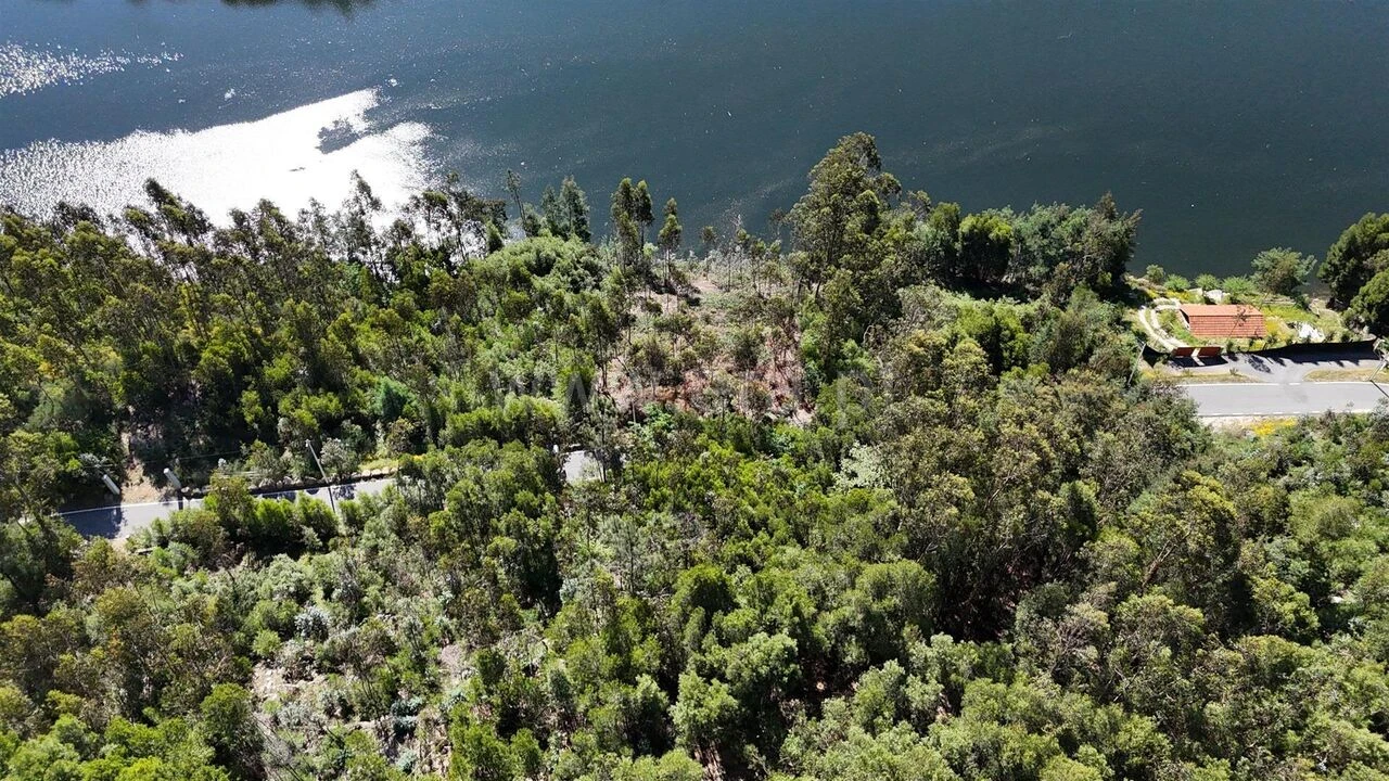 Terreno para Venda em Abragão Foto 11