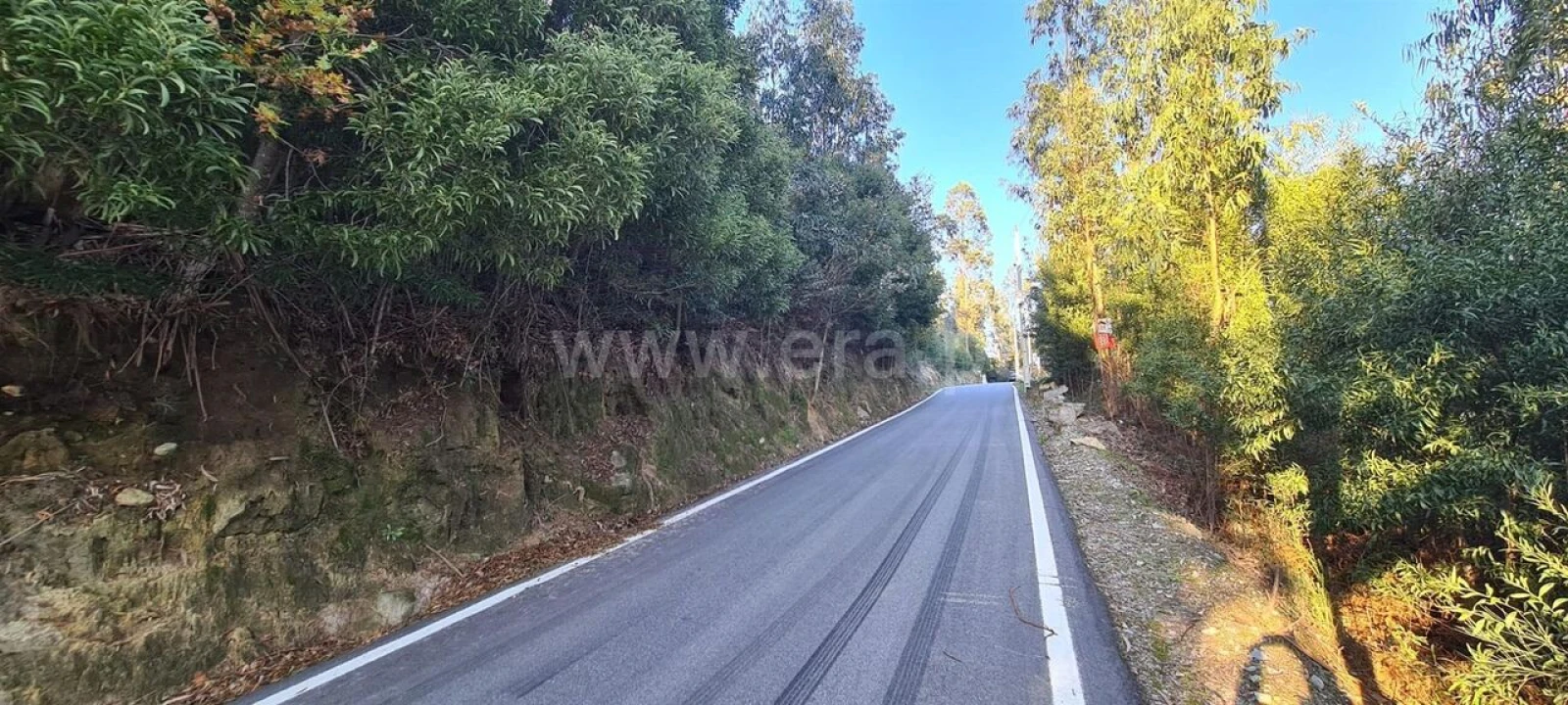 Terreno para Venda em Abragão Foto 3