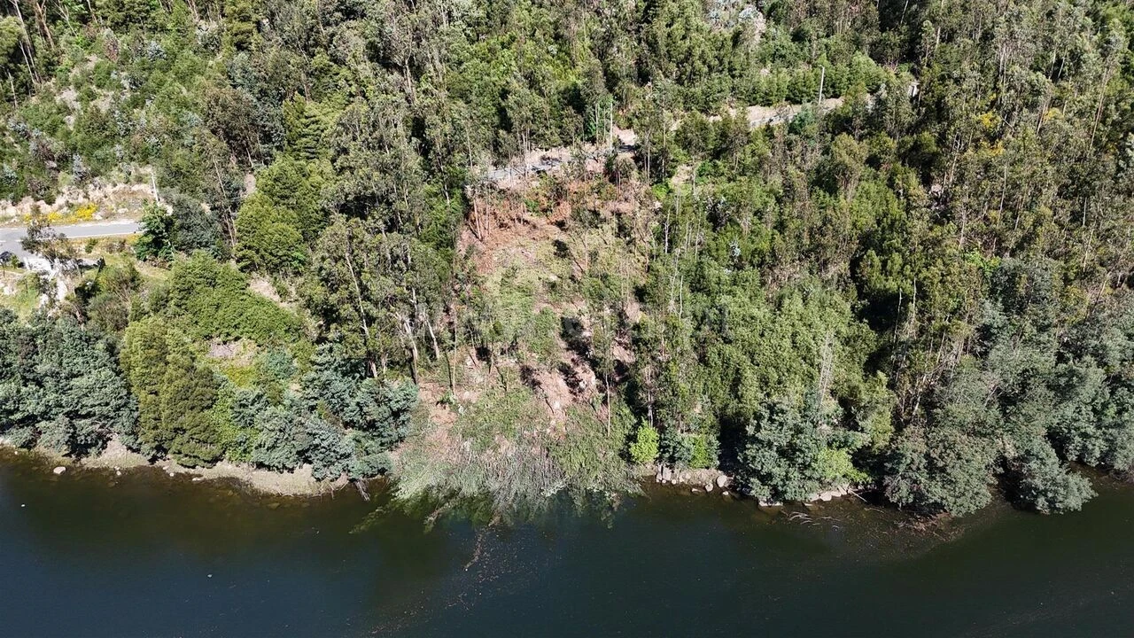 Terreno para Venda em Abragão Foto 13