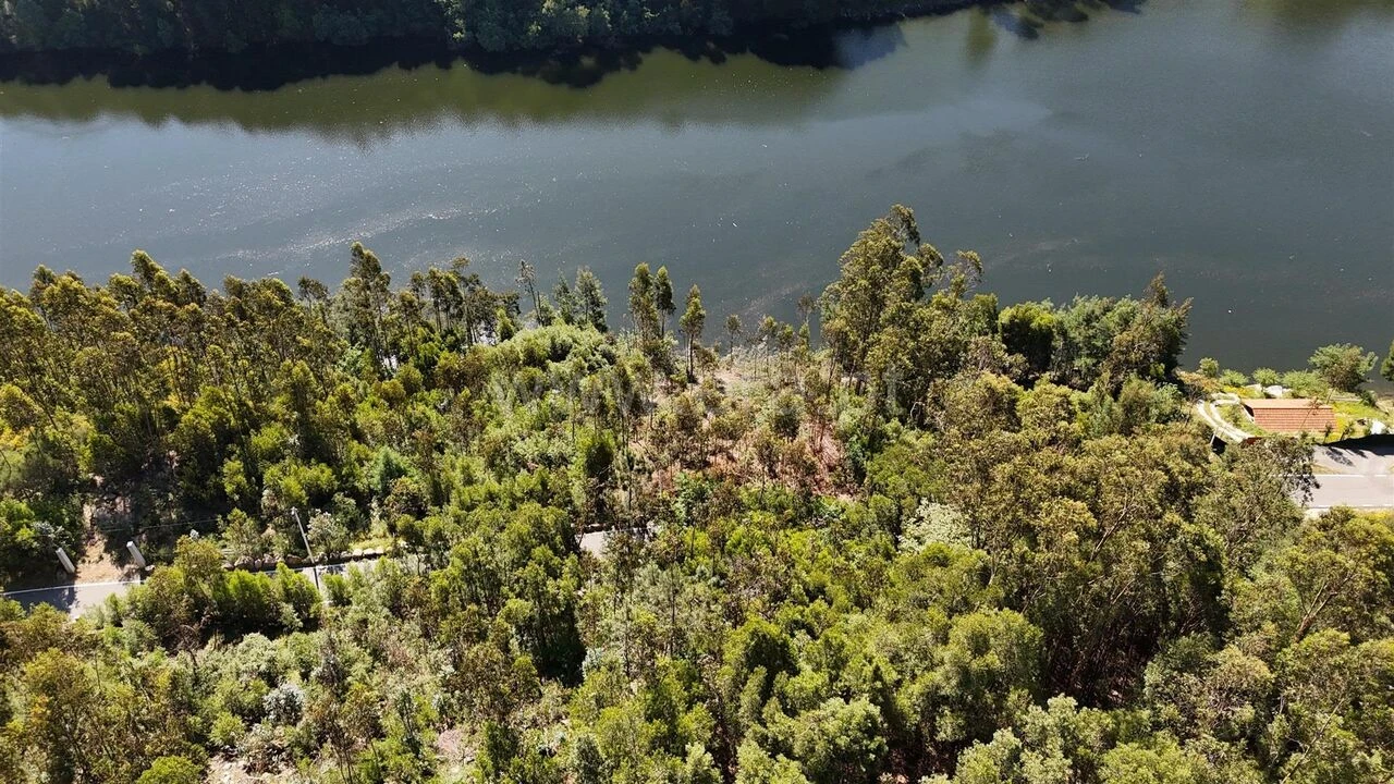 Terreno para Venda em Abragão Foto 8