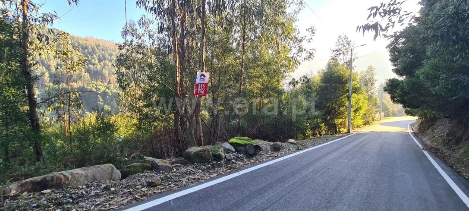 Terreno para Venda em Abragão Foto 5