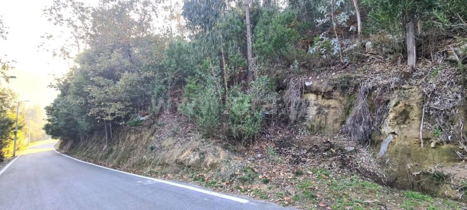 Terreno para Venda em Abragão Foto 4