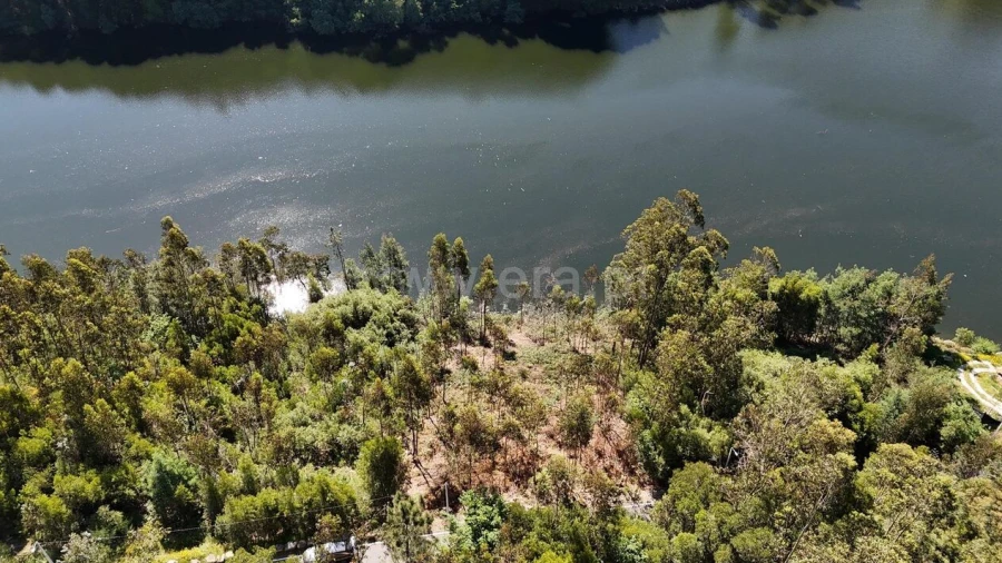 Terreno para Venda em Abragão