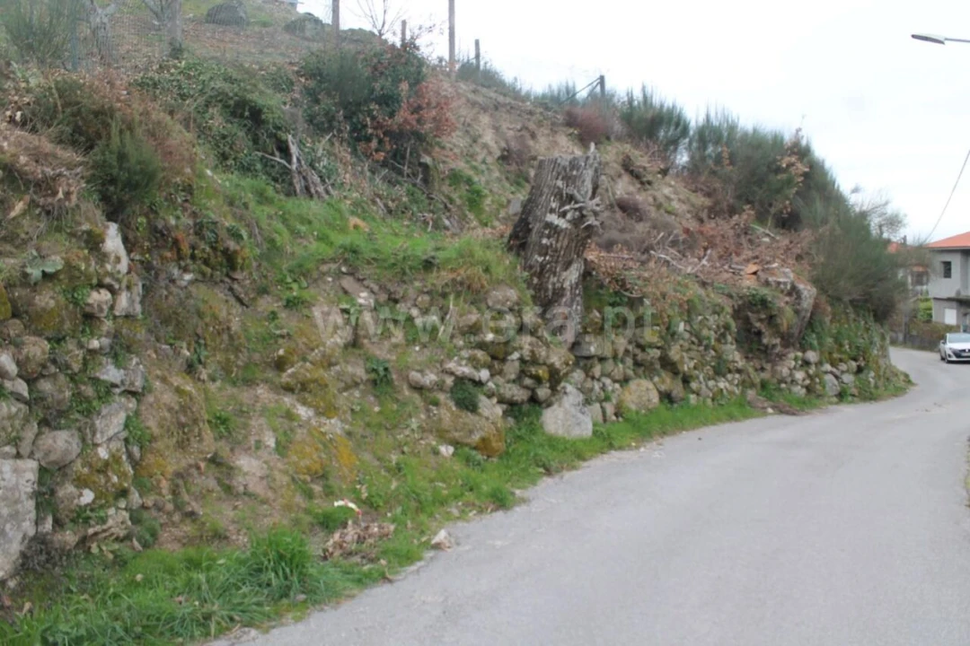 Moradia T0 para Venda em Paus Foto 3