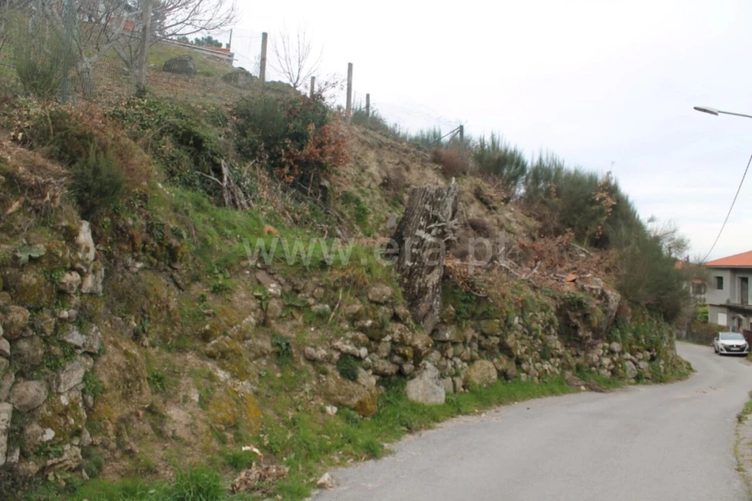 Moradia T0 para Venda em Paus Foto 2