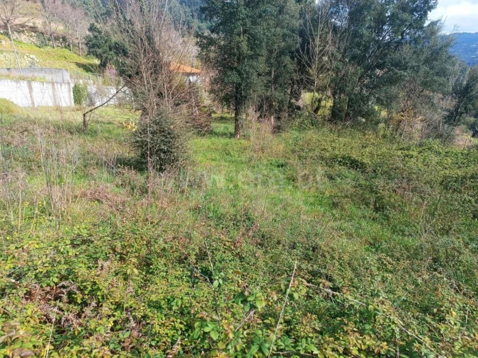 Terreno para Venda em Penhalonga e Paços de Gaiolo Foto 6
