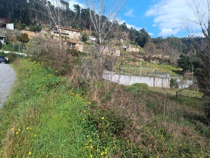 Terreno para Venda em Penhalonga e Paços de Gaiolo Foto 3