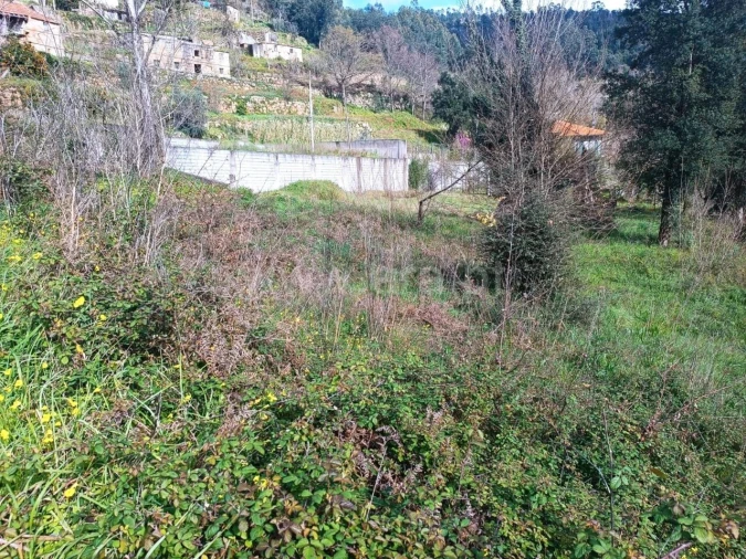 Terreno para Venda em Penhalonga e Paços de Gaiolo Foto 5