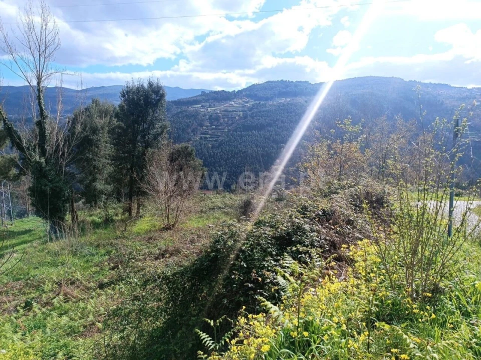 Terreno para Venda em Penhalonga e Paços de Gaiolo Foto 7
