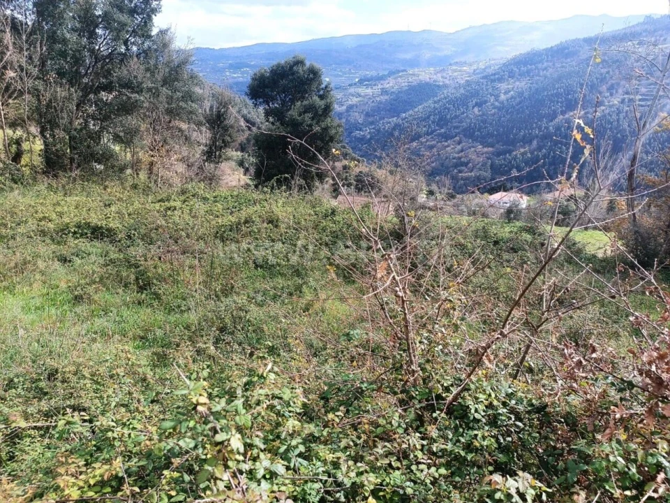 Terreno para Venda em Penhalonga e Paços de Gaiolo Foto 4