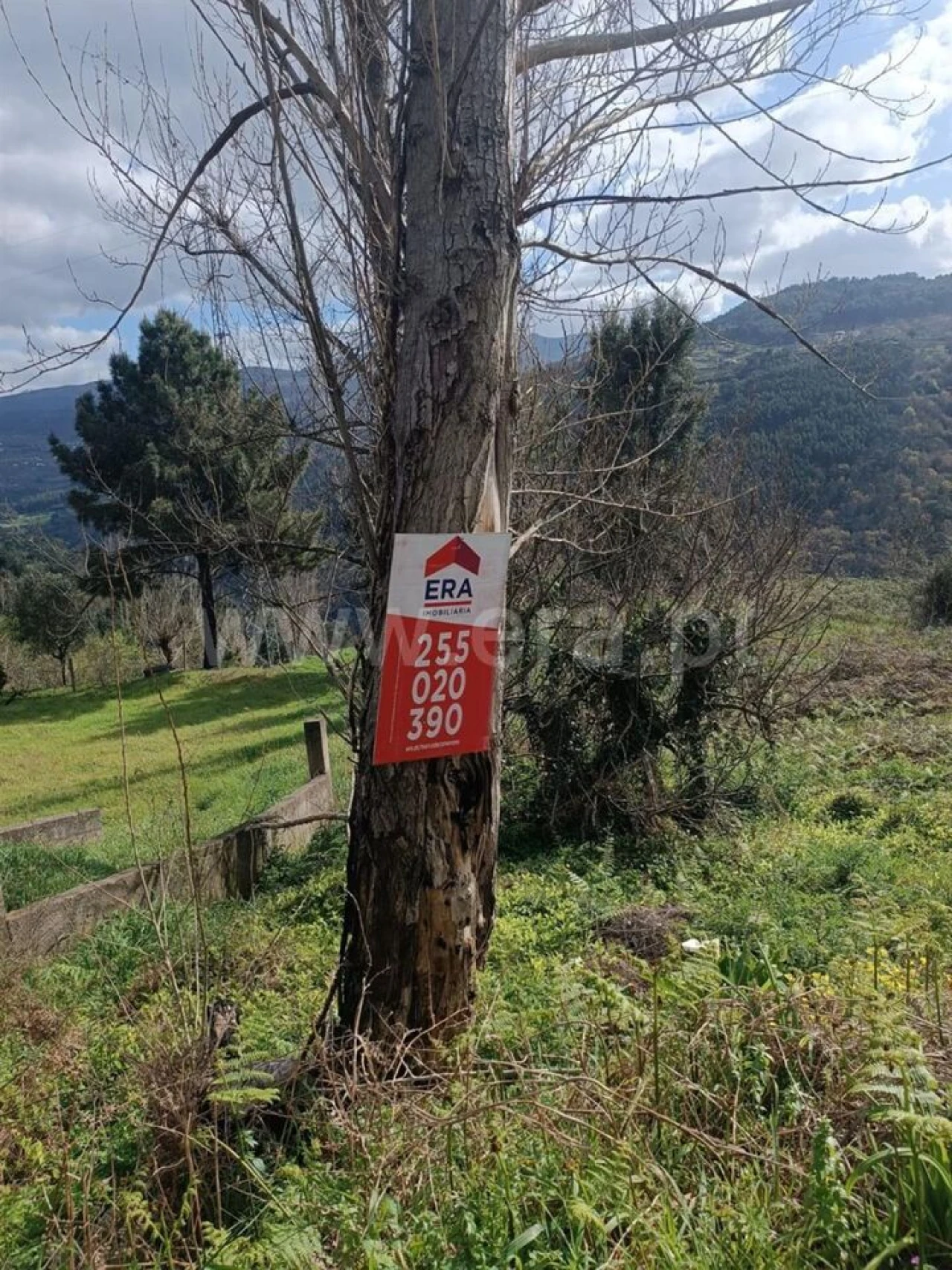 Terreno para Venda em Penhalonga e Paços de Gaiolo Foto 9