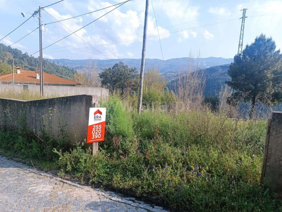 Terreno para Venda em Penhalonga e Paços de Gaiolo Foto 6