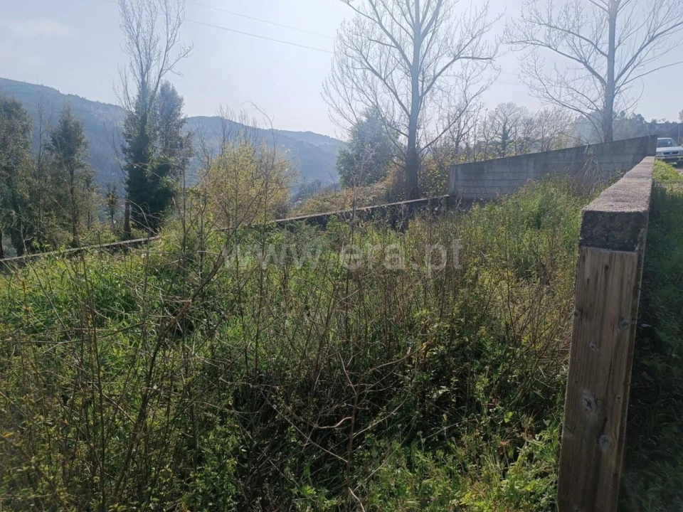 Terreno para Venda em Penhalonga e Paços de Gaiolo Foto 5