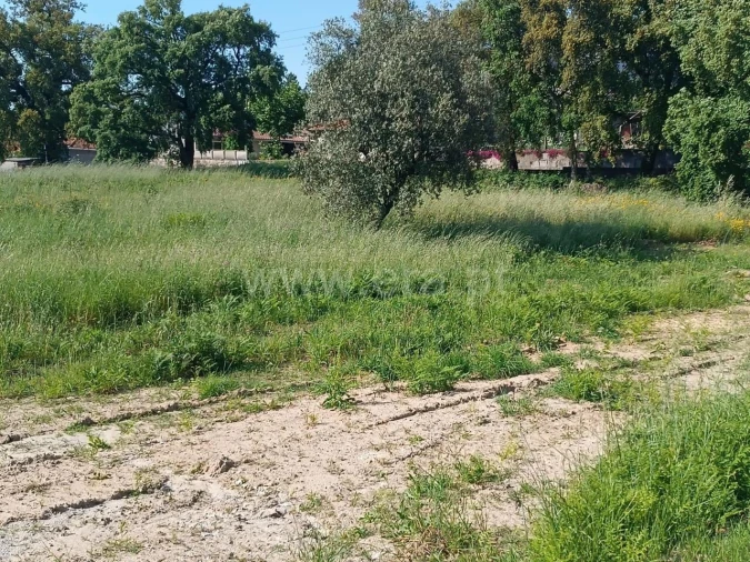 Terreno para Venda em Alpendorada, Várzea e Torrão Foto 4