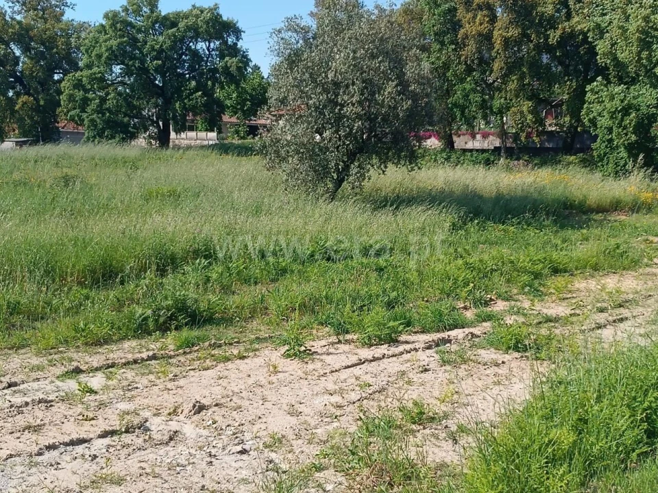 Terreno para Venda em Alpendorada, Várzea e Torrão Foto 4