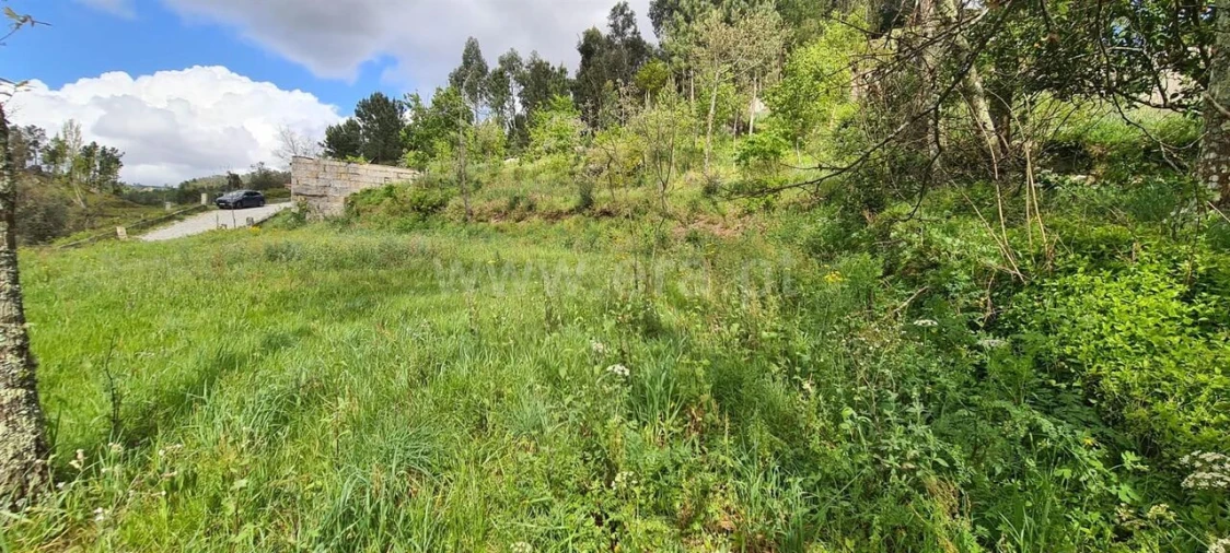 Moradia T0 para Venda em Penhalonga e Paços de Gaiolo Foto 5