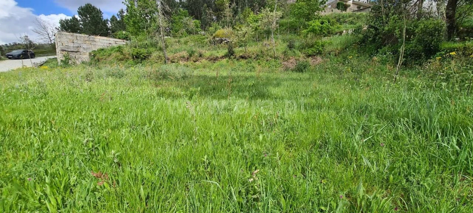 Moradia T0 para Venda em Penhalonga e Paços de Gaiolo Foto 6