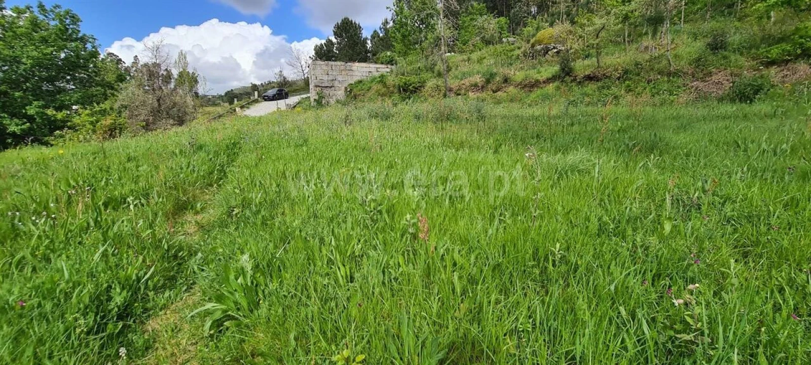 Moradia T0 para Venda em Penhalonga e Paços de Gaiolo Foto 7