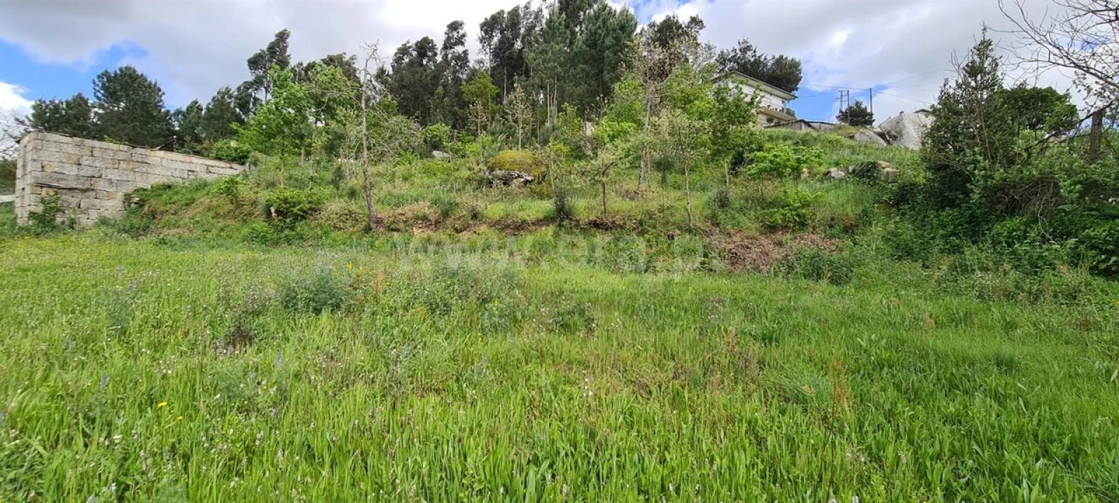 Moradia T0 para Venda em Penhalonga e Paços de Gaiolo Foto 4