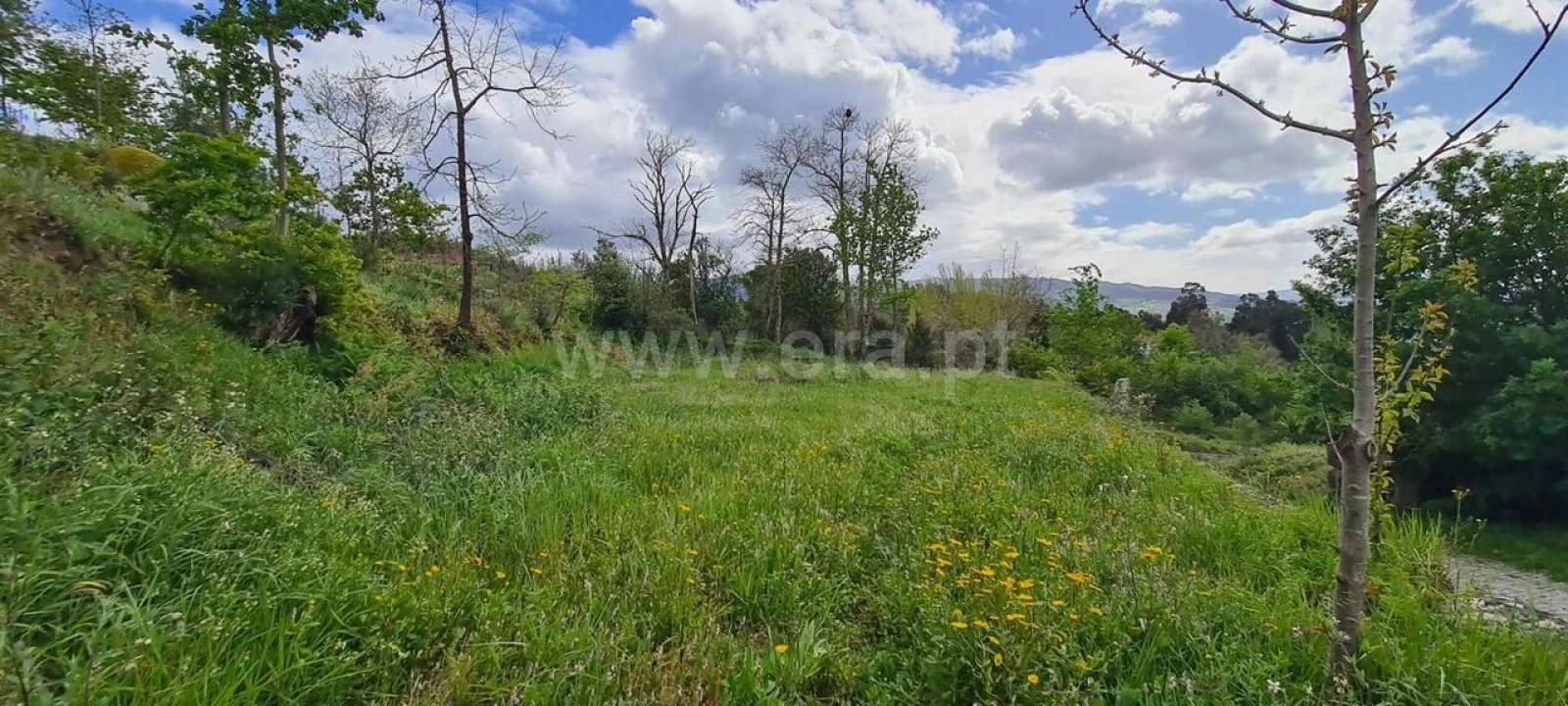 Moradia T0 para Venda em Penhalonga e Paços de Gaiolo Foto 8