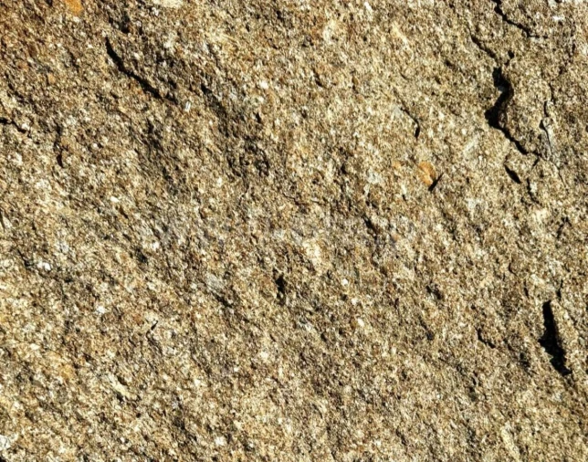 Terreno para Venda em Moimenta Foto 13