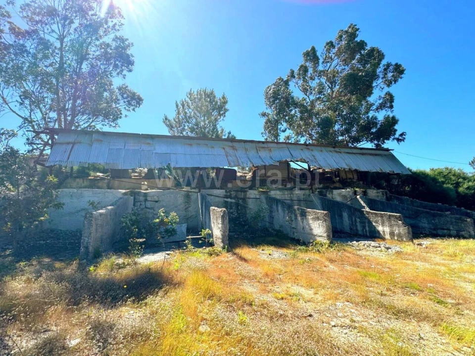 Terreno para Venda em Moimenta Foto 9