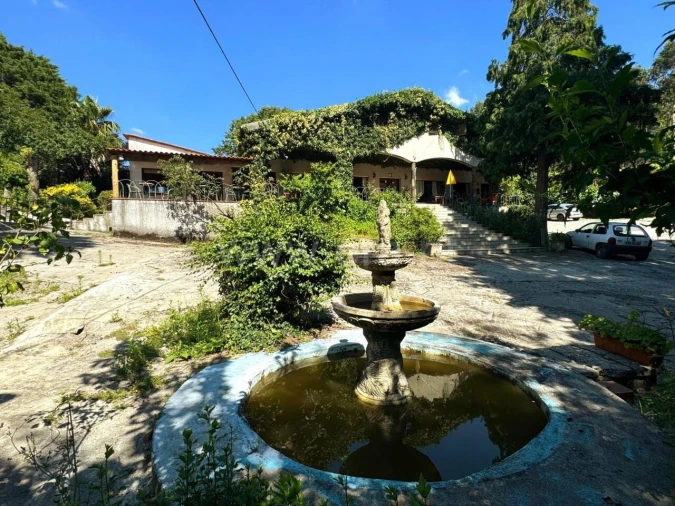 Quinta T0 para Venda em Mancelos Foto 10