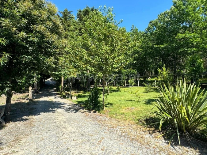 Quinta T0 para Venda em Mancelos Foto 17