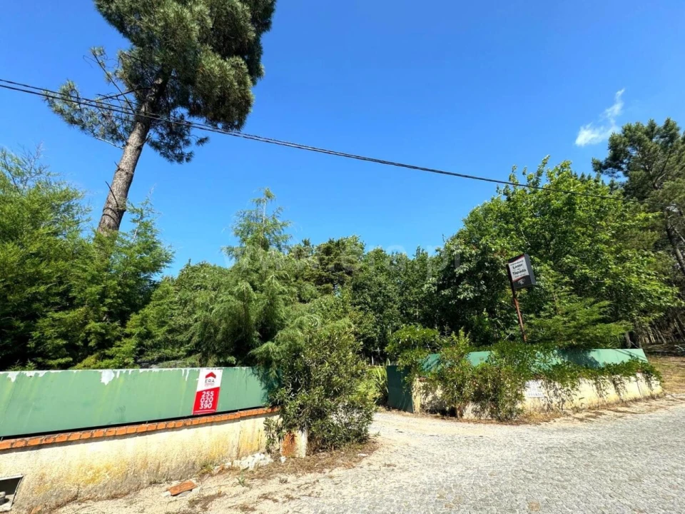 Quinta T0 para Venda em Mancelos Foto 16