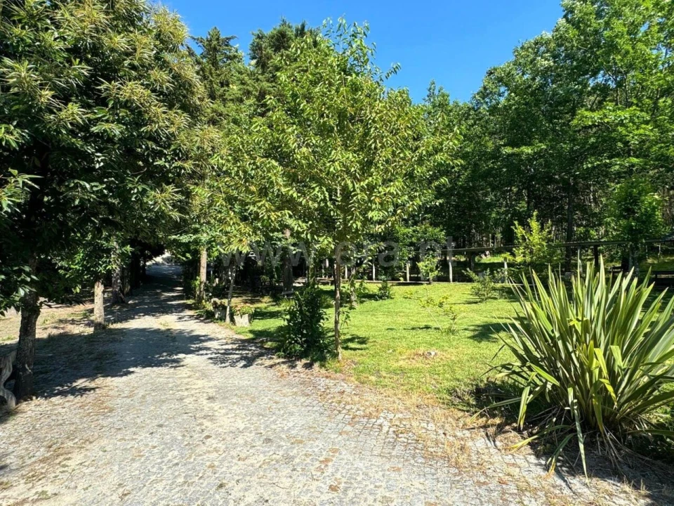 Quinta T0 para Venda em Mancelos Foto 17