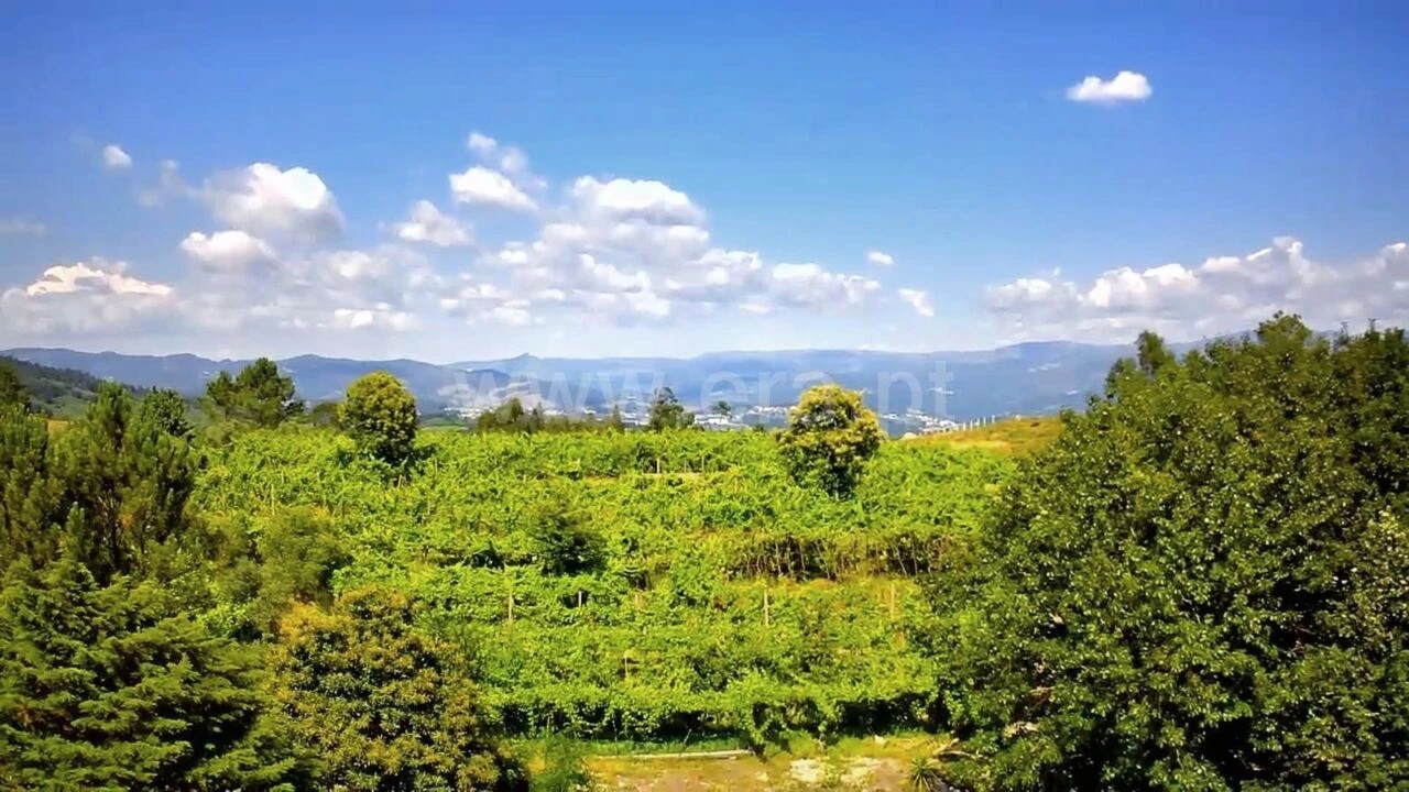 Quinta T0 para Venda em Mancelos Foto 6