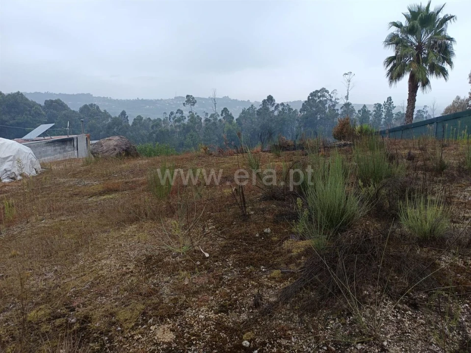 Terreno para Venda em Mancelos Foto 4
