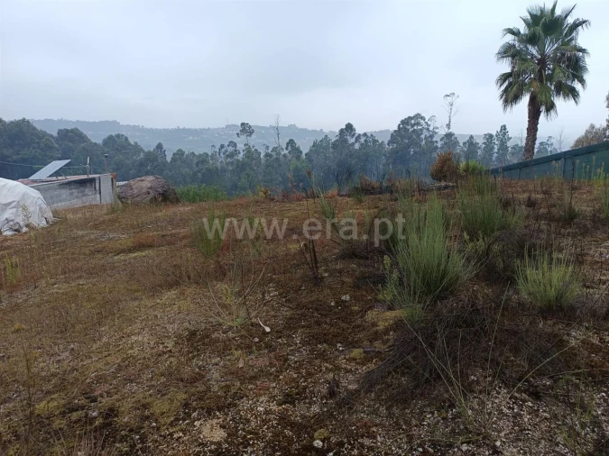 Terreno para Venda em Mancelos Foto 4