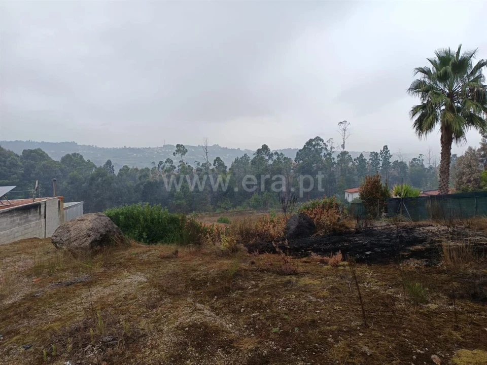 Terreno para Venda em Mancelos Foto 3