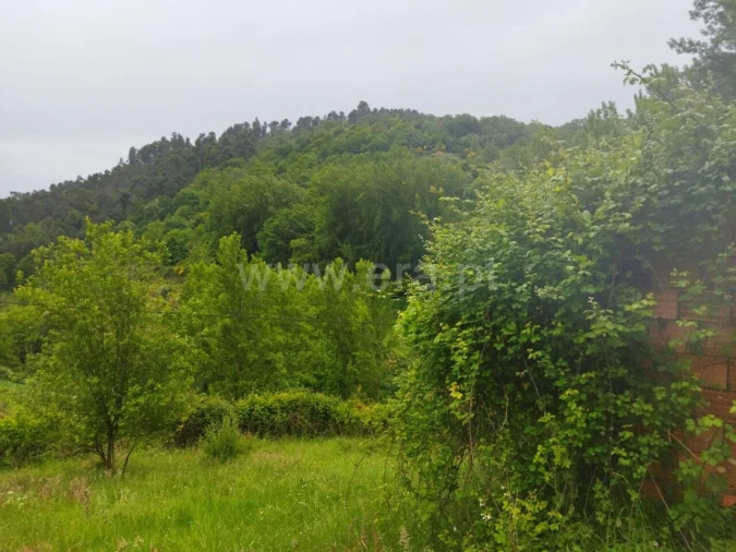 Terreno para Venda em Viariz Foto 5