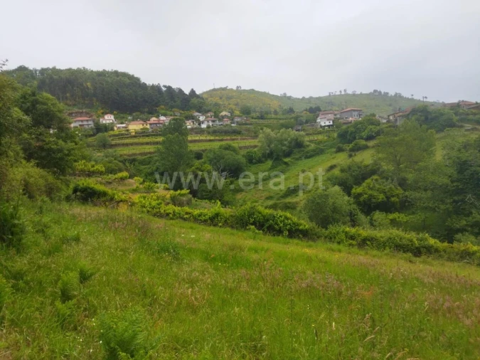 Terreno para Venda em Viariz Foto 4