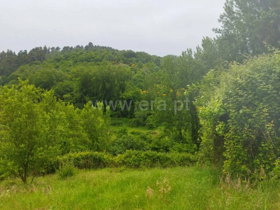 Terreno para Venda em Viariz Foto 3