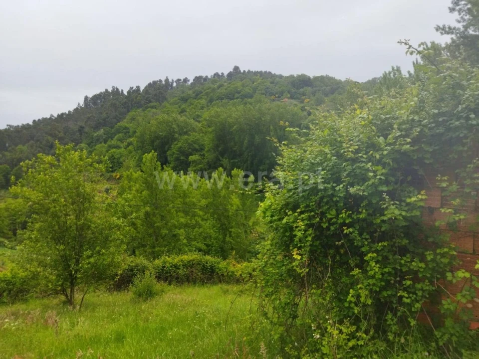 Terreno para Venda em Viariz Foto 5