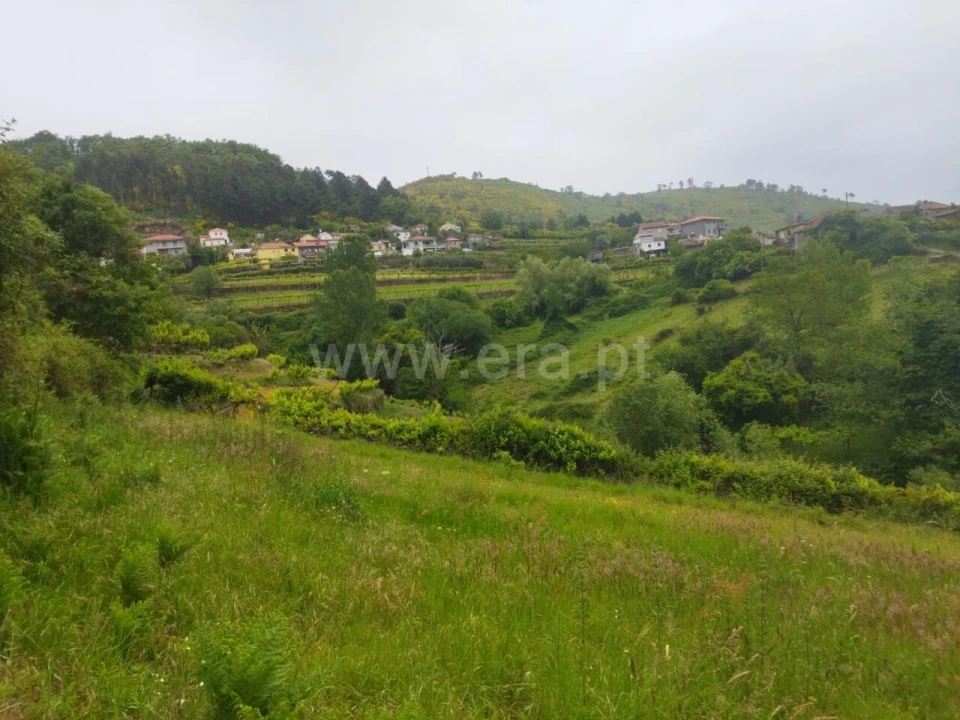 Terreno para Venda em Viariz Foto 4