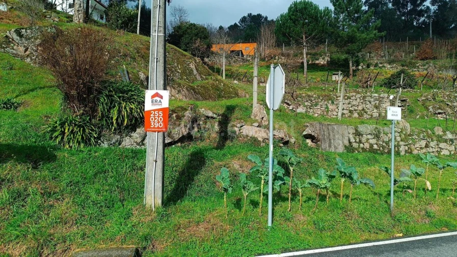 Terreno para Venda em Soalhães Foto 6