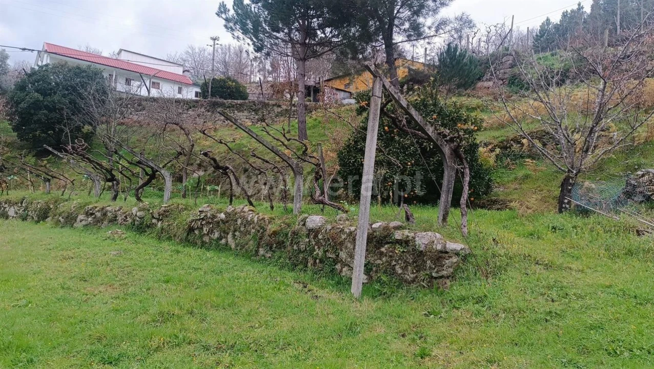 Terreno para Venda em Soalhães Foto 15