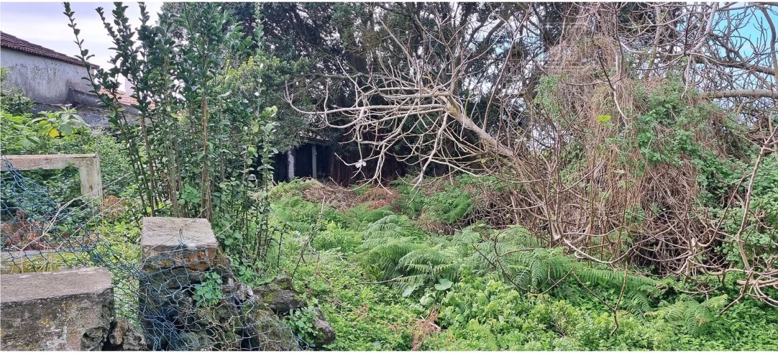 Moradia T3 para Venda em São Bartolomeu de Regatos Foto 3