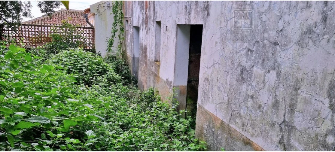 Moradia T3 para Venda em São Bartolomeu de Regatos Foto 4