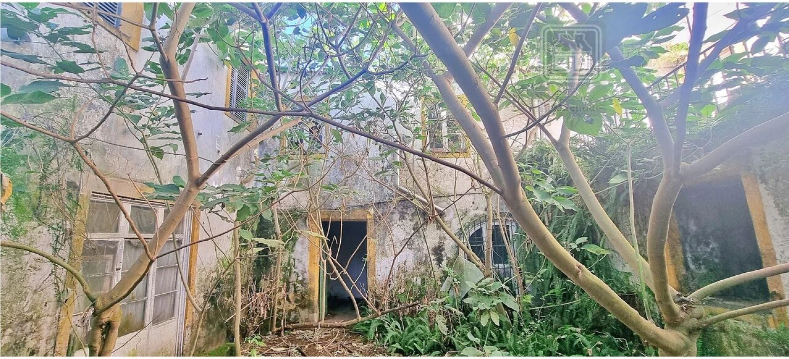 Moradia T6 para Venda em Ponta Delgada (São Sebastião) Foto 5