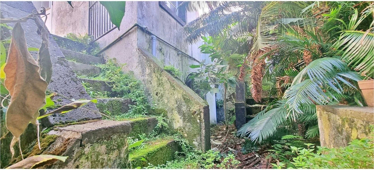 Moradia T6 para Venda em Ponta Delgada (São Sebastião) Foto 6