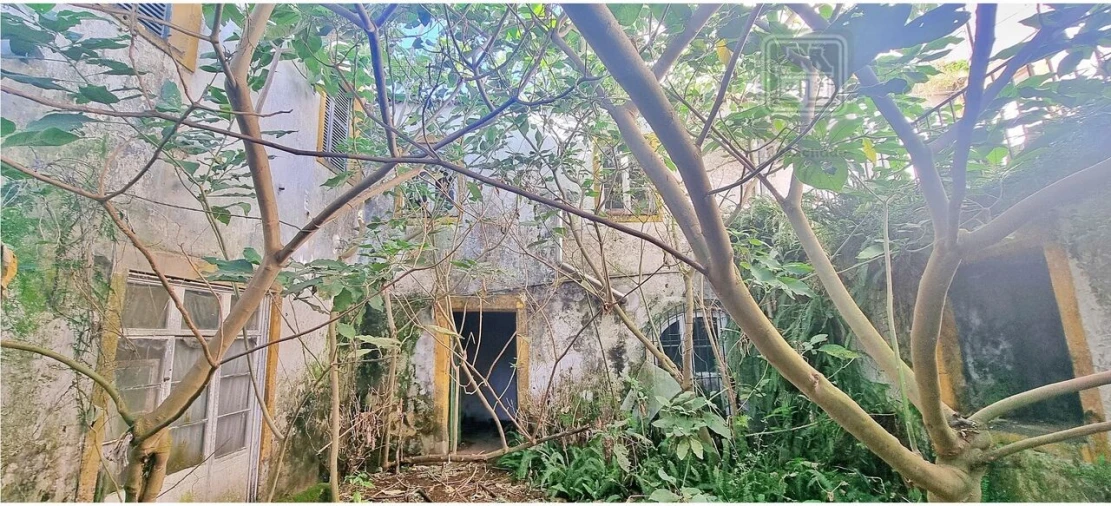 Moradia T6 para Venda em Ponta Delgada (São Sebastião) Foto 5